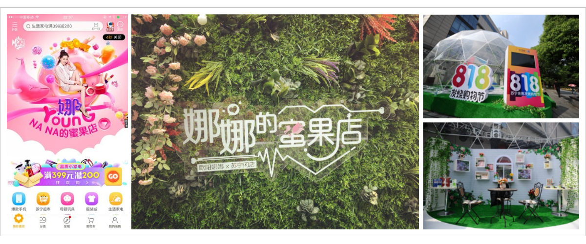 苏宁3.png